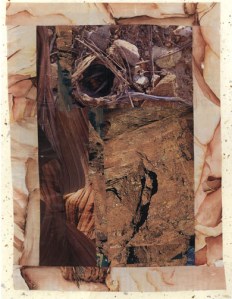 Courtesy of Trinity Stores www.trinitystores.com 